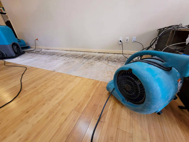 Professional Structural Drying technician working in Saranac, MI